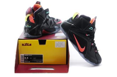 cheap lebron james xii cheap no. 347