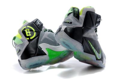 Cheap LeBrone James XII basketball shoes wholesale No. 527