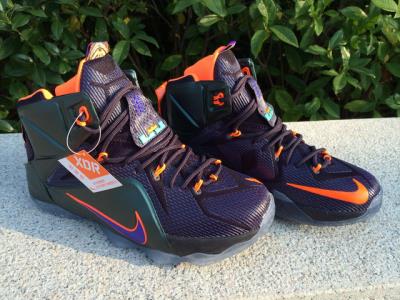 Cheap LeBrone James XII basketball shoes wholesale No. 566