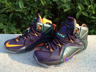 Cheap LeBrone James XII basketball shoes wholesale No. 569