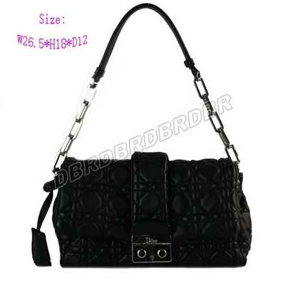 Christian Dior Handbag-9945heiy_87