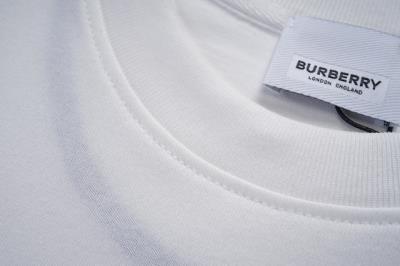 wholesale quality burberry men shirts model no. 1817