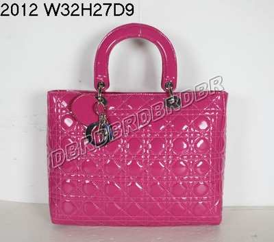 Christian Dior Handbag-2012meih_60