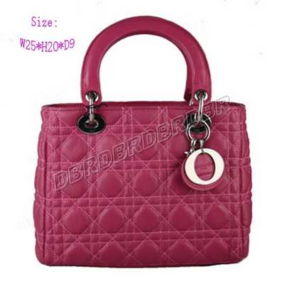 Christian Dior Handbag-9926meih_106