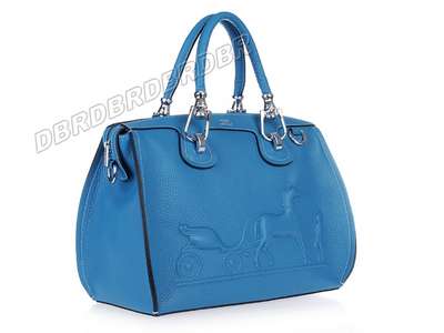 Hermes Handbag-sj0322lanY_1291