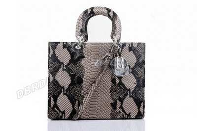 Christian Dior Handbag-6323huisY_446