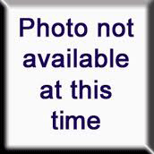 cheap quality Louis Vuitton shorts Model No. 31