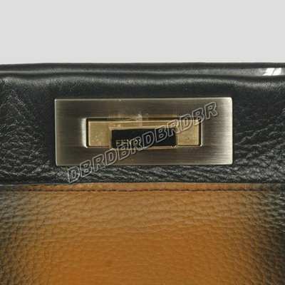 Fendi Handbag-2291Gketu_42