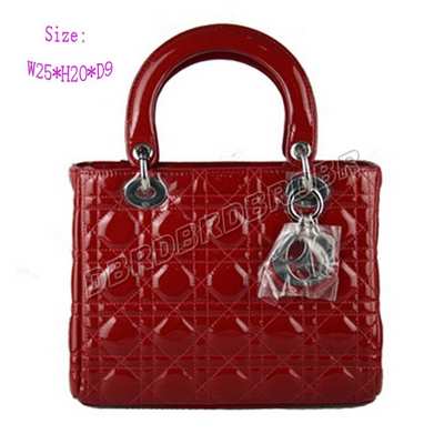 Christian Dior Handbag-9926hog_97