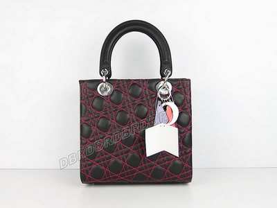 Christian Dior Handbag-20674heimhon_388