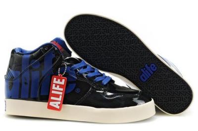 ALIFE-13