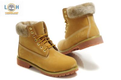 Timberland-560